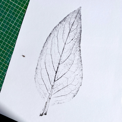 printing with leaves